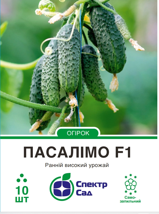 174b28908607d2cffb005632ce9284fc (1)