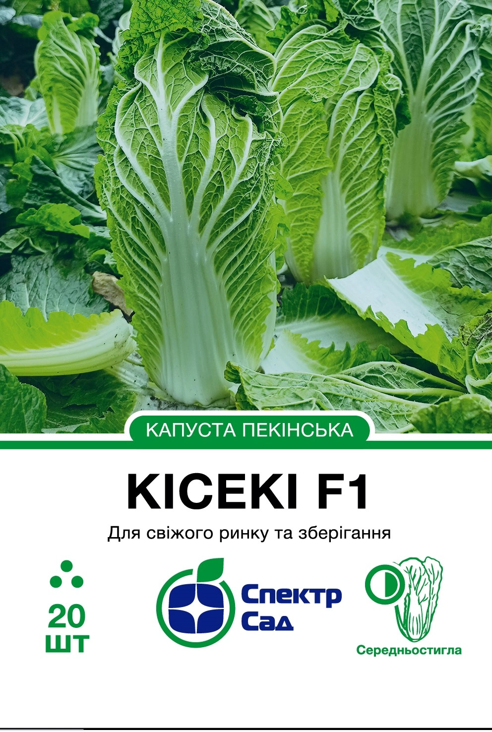 19f51cf8859278461dbcde226b0aca5a
