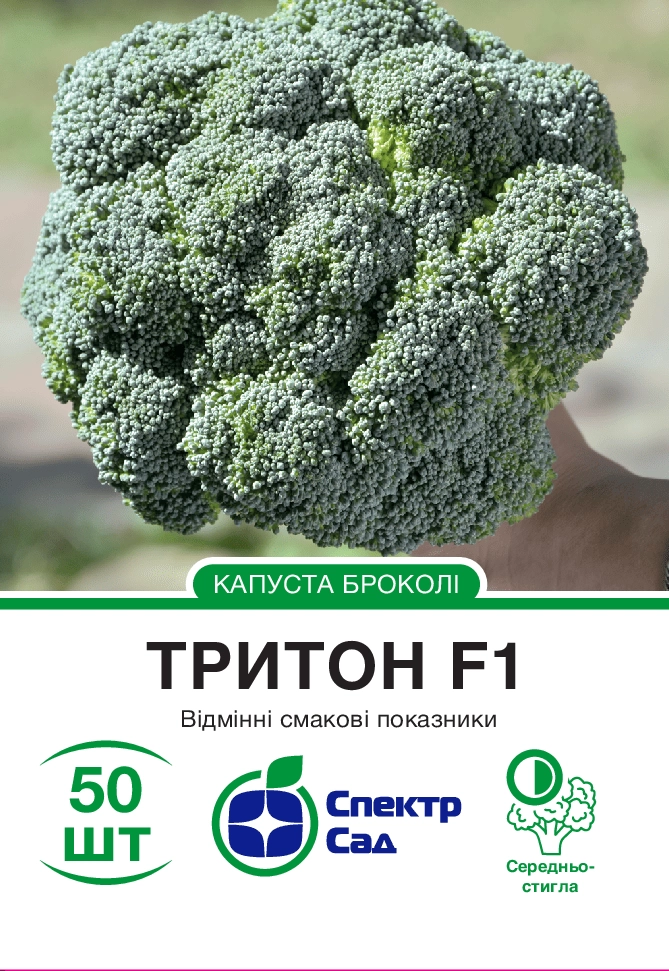 54ad60ac37e1fb6d8d36f19c1cebfc19