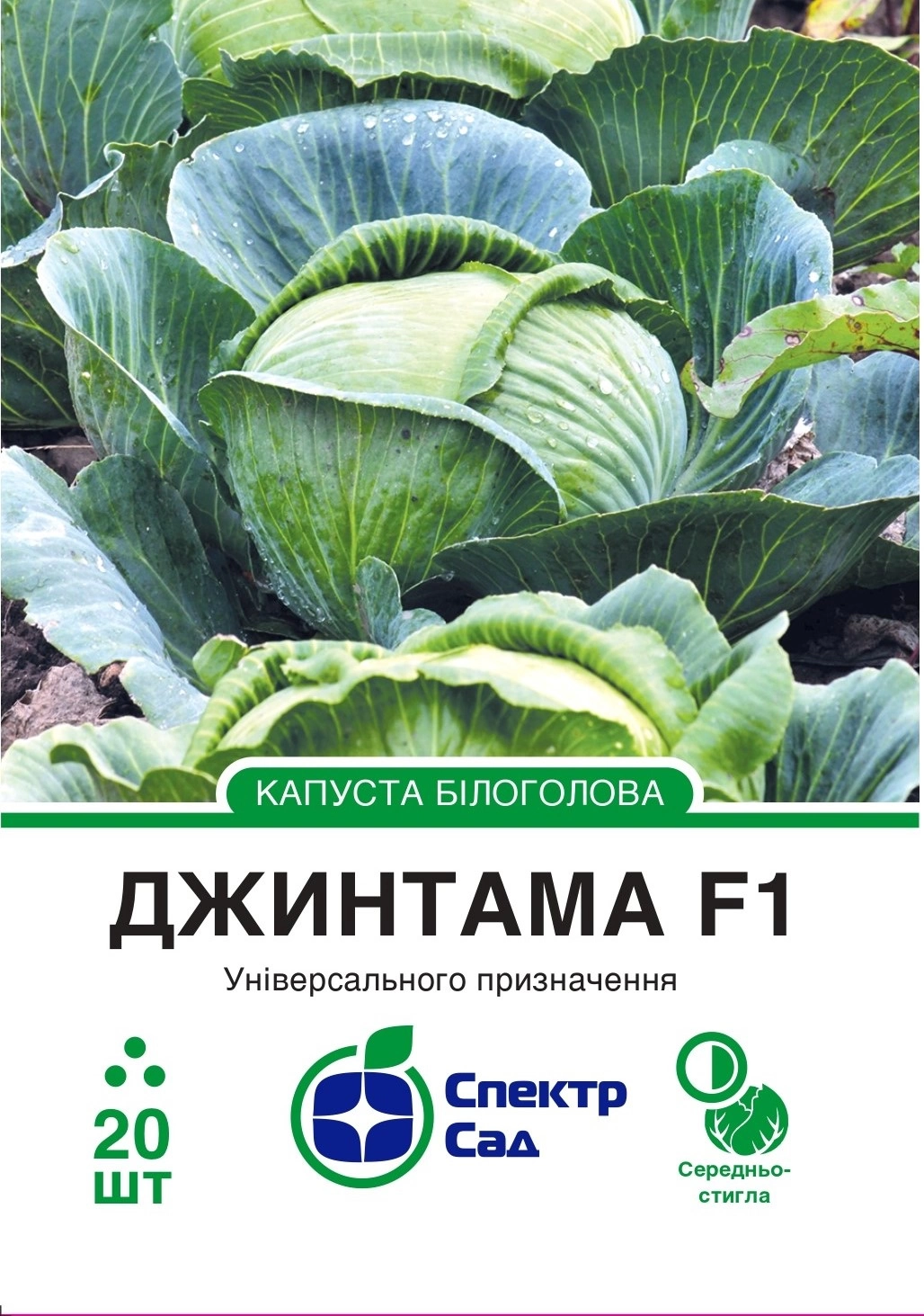 5780f4231c87f36d4f46b1711d196879