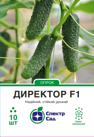 61f935ab357fe147066eb66e878d59b6