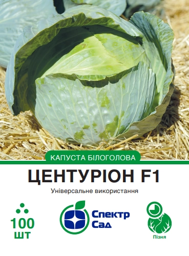 c5416bf931a9050e46a8fefa945288ce