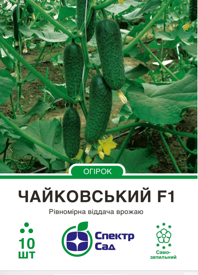 ce177989ce08fd82825b366509692b00