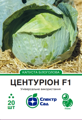 ec215511d7b724d120b3666d78c08878