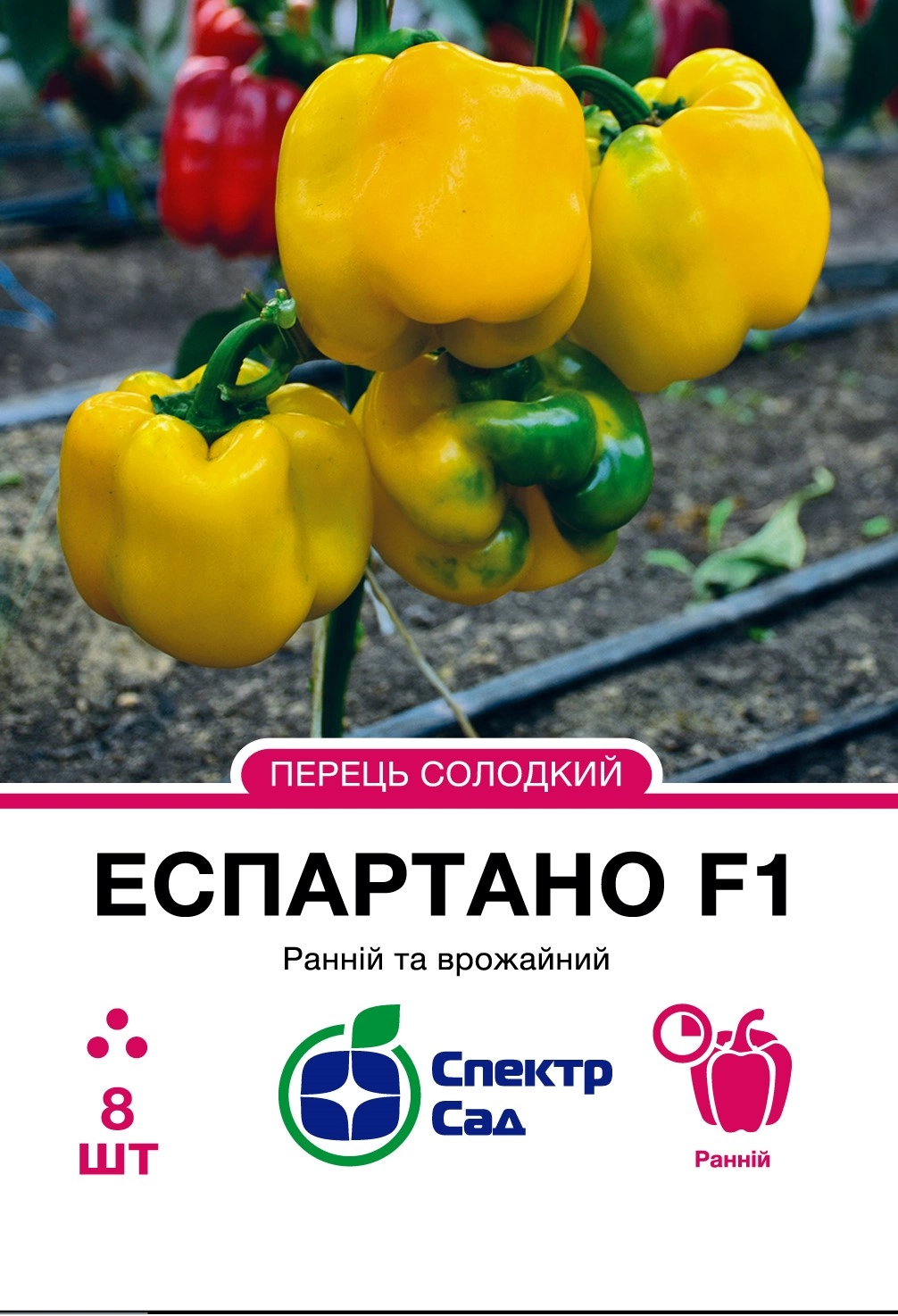 f91722f633dfb332d5b967452f56ccd9 (1)